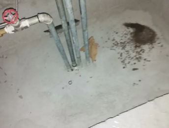 温泉卫生间测漏水价格明细