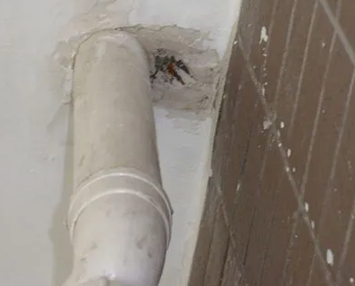 温泉漏水检测哪家好